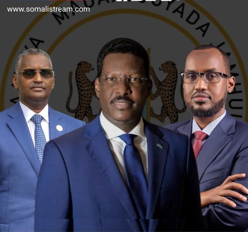 Villa Somalia Scandal